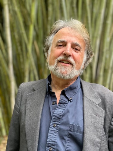 Mark Ari